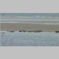 Borkum-242.JPG