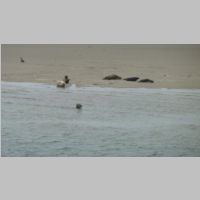 Borkum-247.JPG