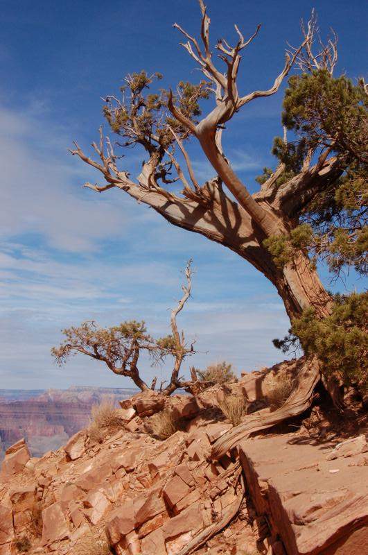 <i><b>0255-Grand_Canyon_National_Park</b></i>