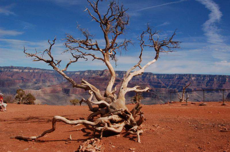 <i><b>0258-Grand_Canyon_National_Park</b></i>