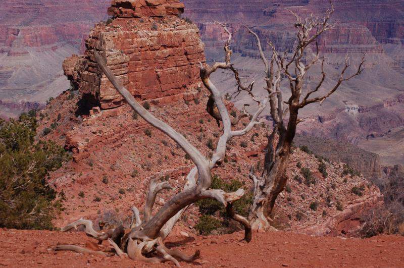 <i><b>0262-Grand_Canyon_National_Park</b></i>