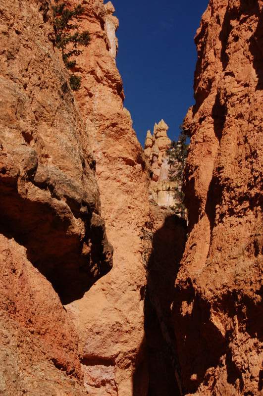 <i><b>0451-Bryce_Canyon</b></i>