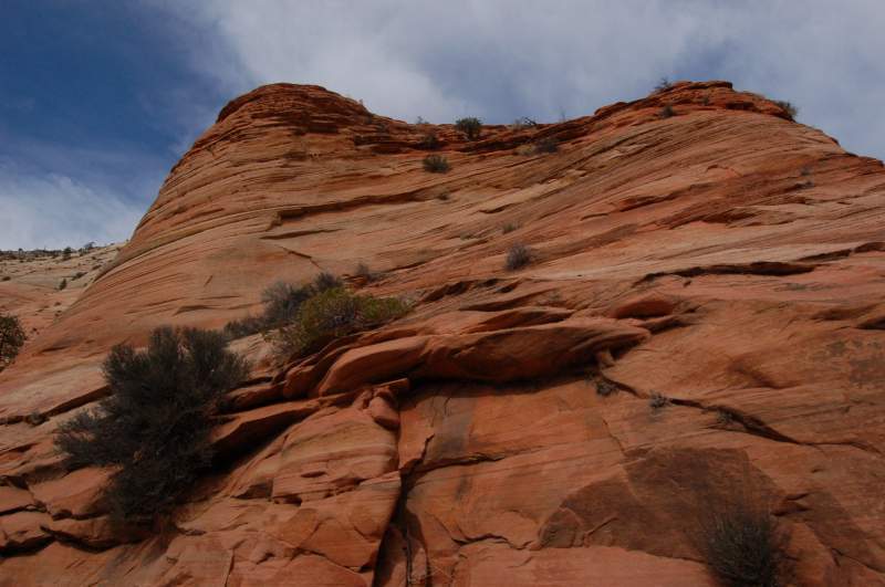 <i><b>0473-Zion_National_Park</b></i>