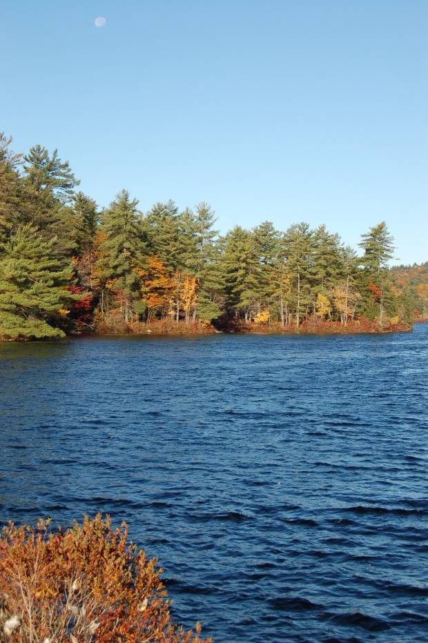 <i><b>USA-08-135</b></i>