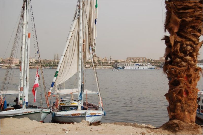 <i><b>Luxor-015</b></i>