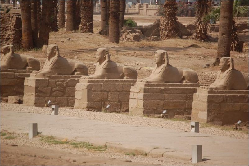 <i><b>Luxor-036</b></i>