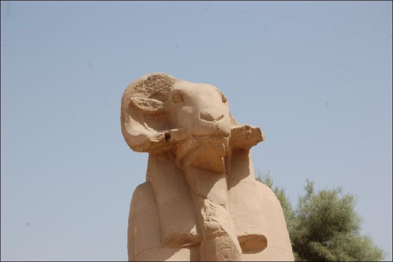 <i><b>Luxor-062</b></i>