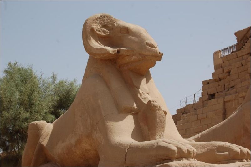 <i><b>Luxor-063</b></i>