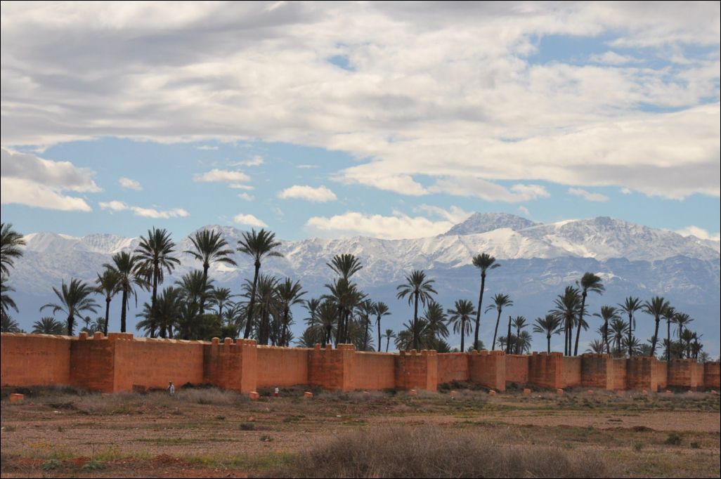 <i><b>Marrakesch-109</b></i>