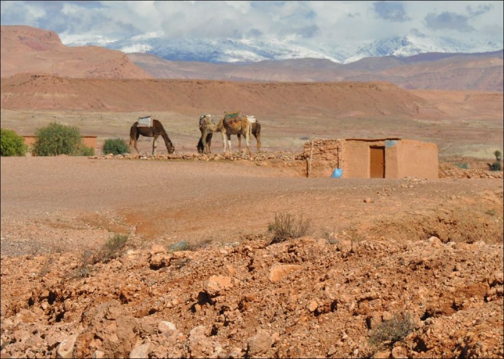 <i><b>Ouarzazate-073</b></i>
