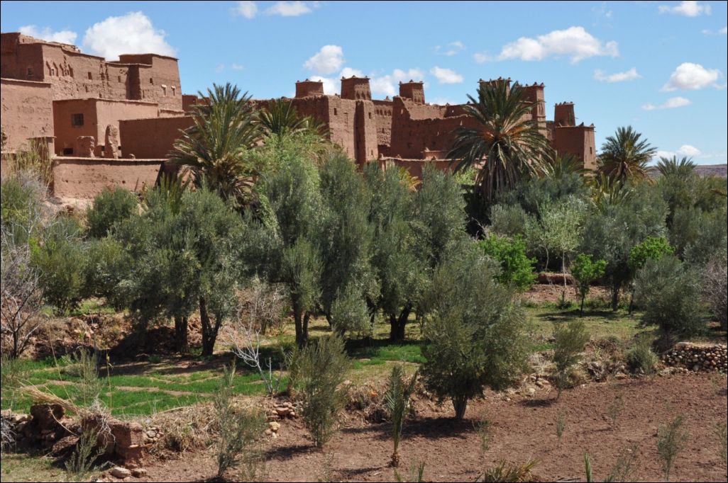 <i><b>Ouarzazate-103</b></i>