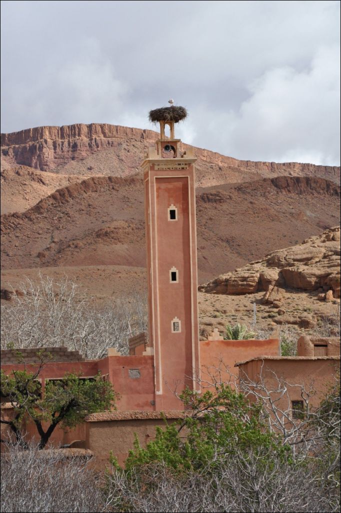 <i><b>Ouarzazate-120</b></i>
