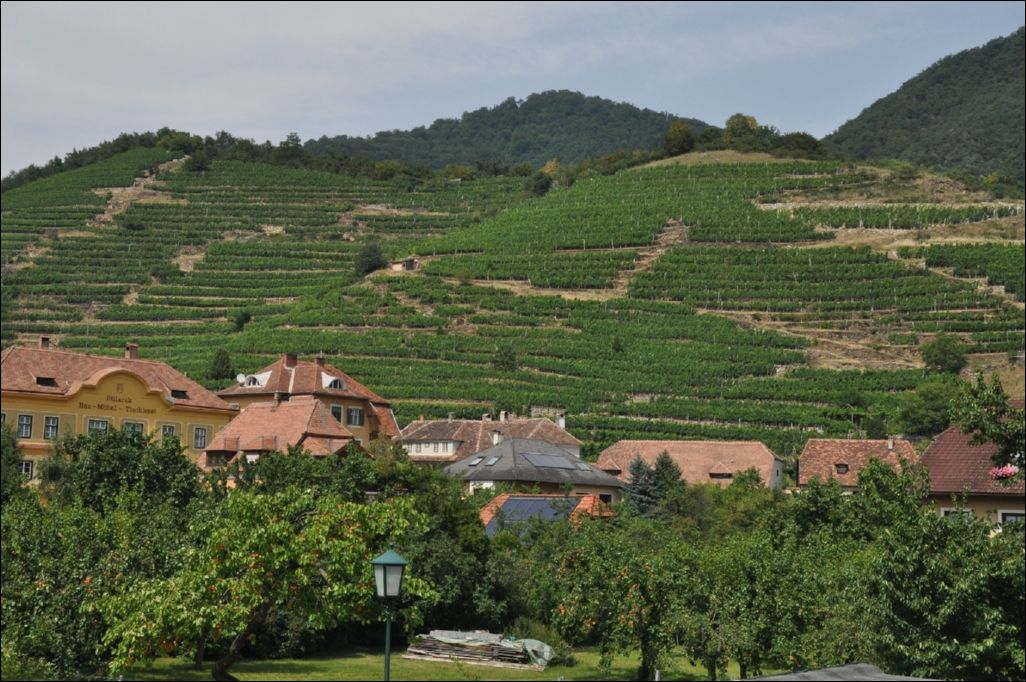 <i><b>Oesterreich-054</b></i>