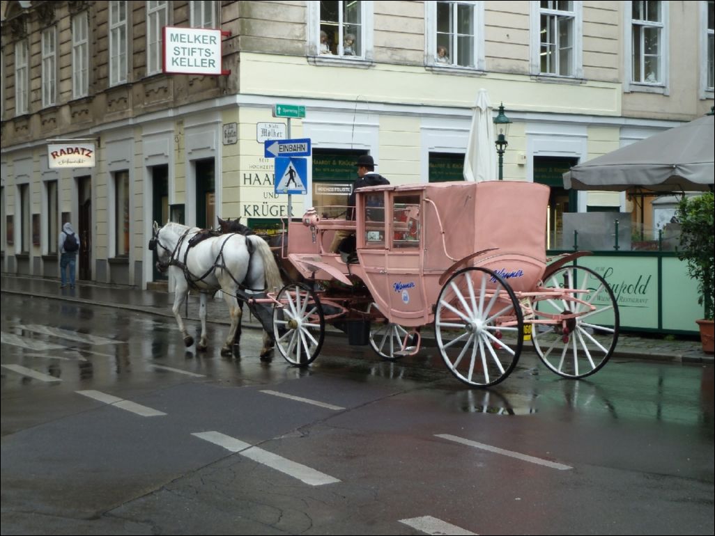 <i><b>Wien-002</b></i>