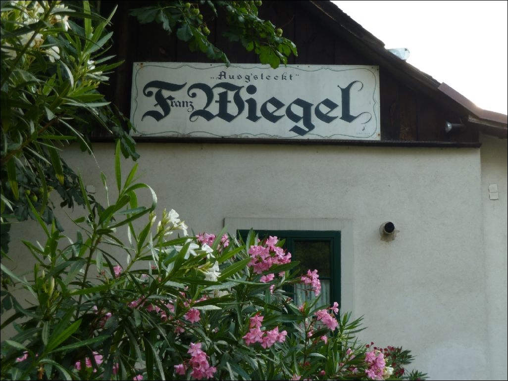 <i><b>Wien-010</b></i>