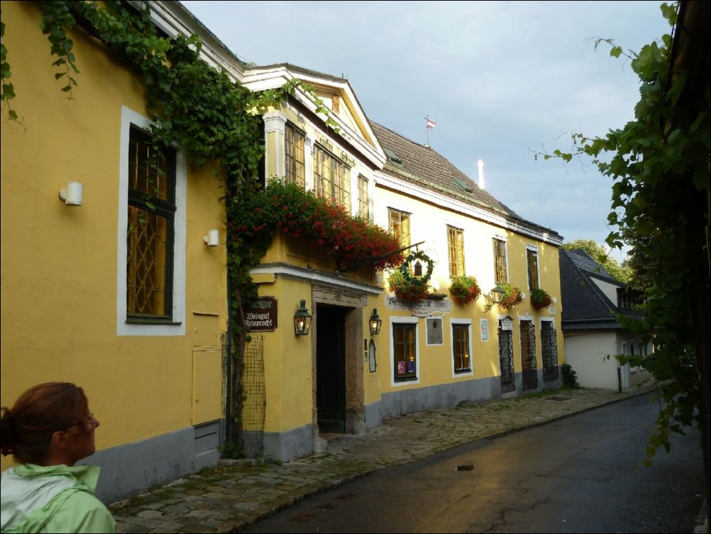 <i><b>Wien-014</b></i>