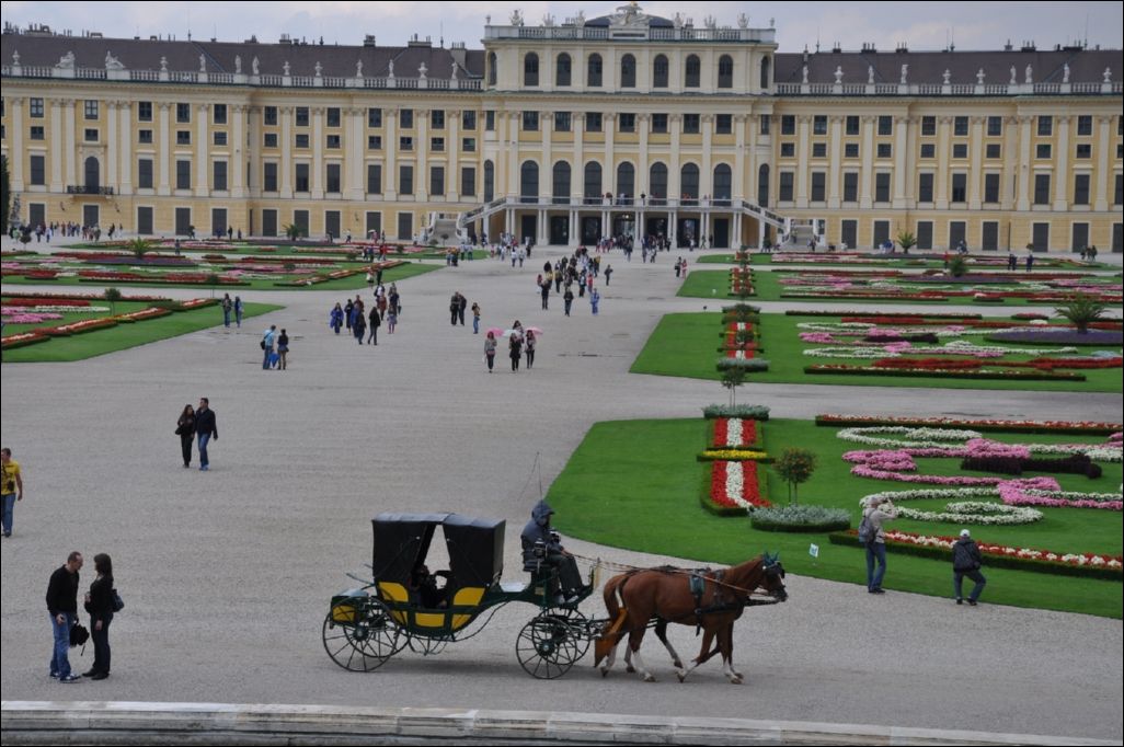 <i><b>Wien-032</b></i>