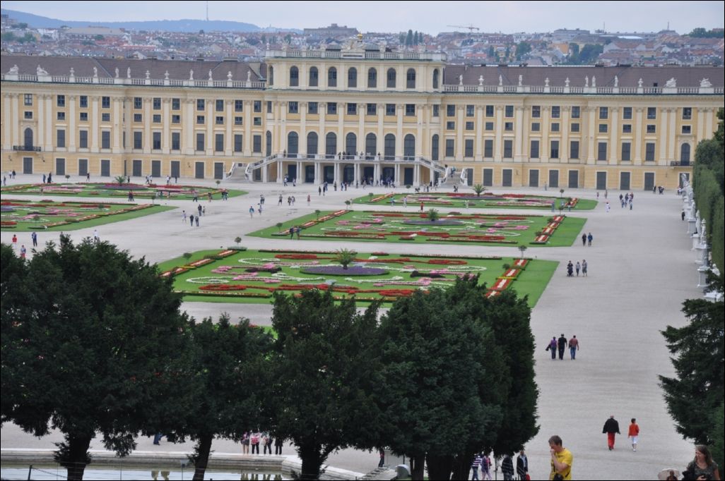 <i><b>Wien-035</b></i>