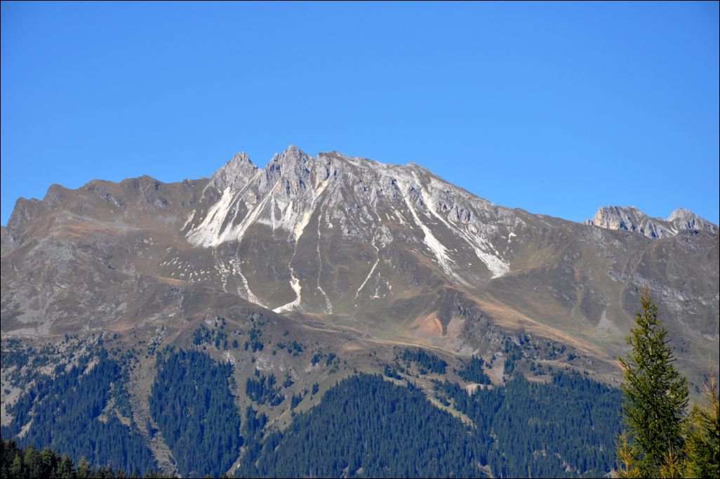 <i><b>Suedtirol-124</b></i>