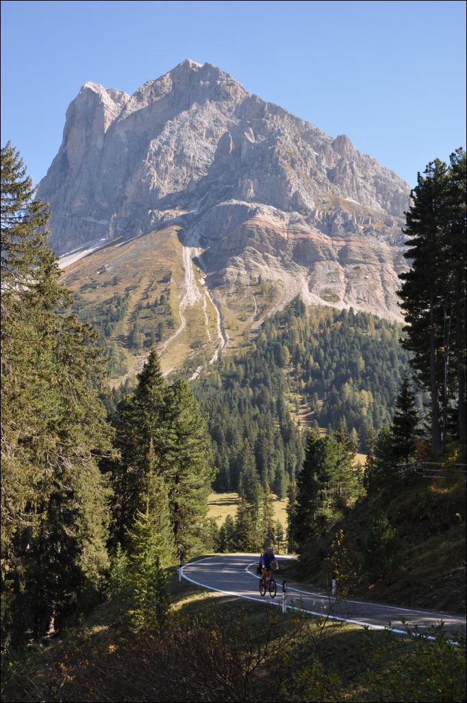 <i><b>Suedtirol-161</b></i>