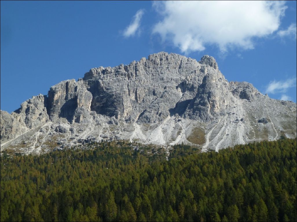 <i><b>Suedtirol-215</b></i>