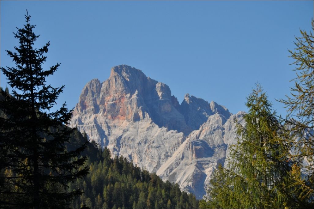 <i><b>Suedtirol-221</b></i>