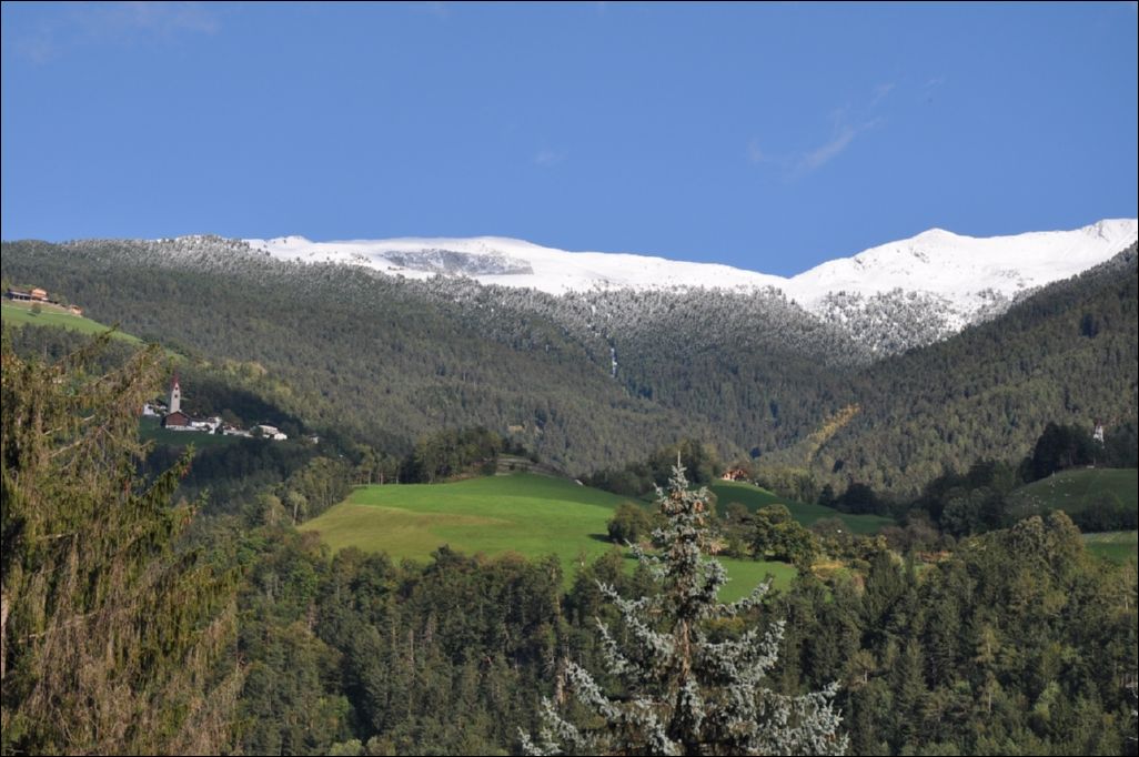 <i><b>Suedtirol-324</b></i>