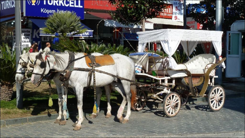 <i><b>Antalya</b></i>