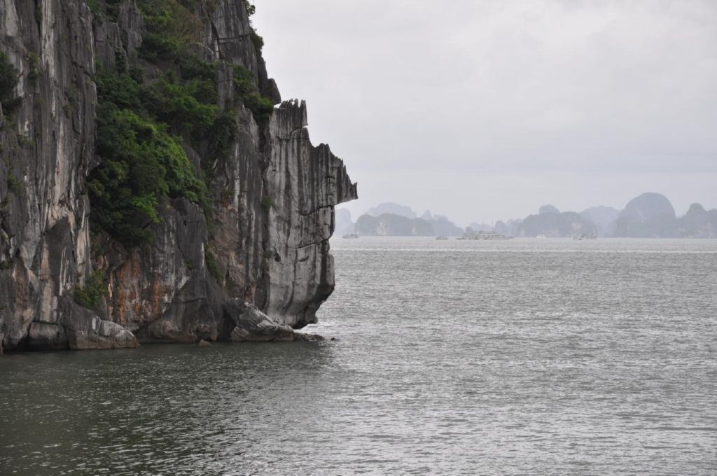 <i><b>Halong-08</b></i>