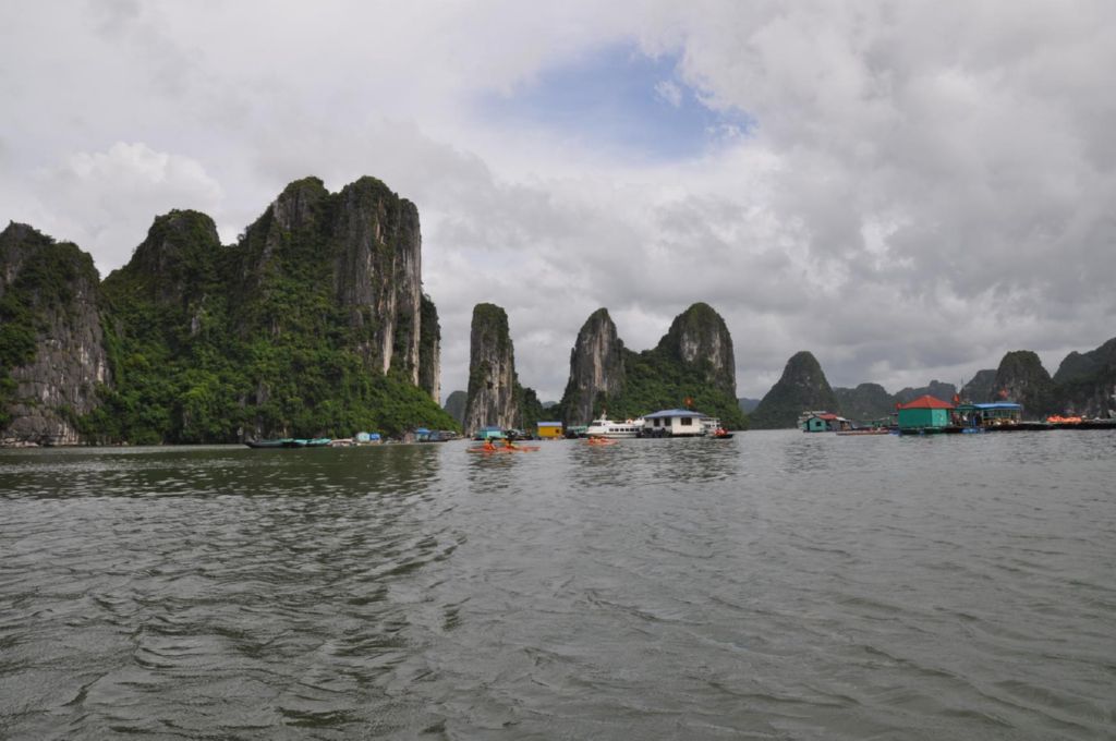 <i><b>Halong-14</b></i>