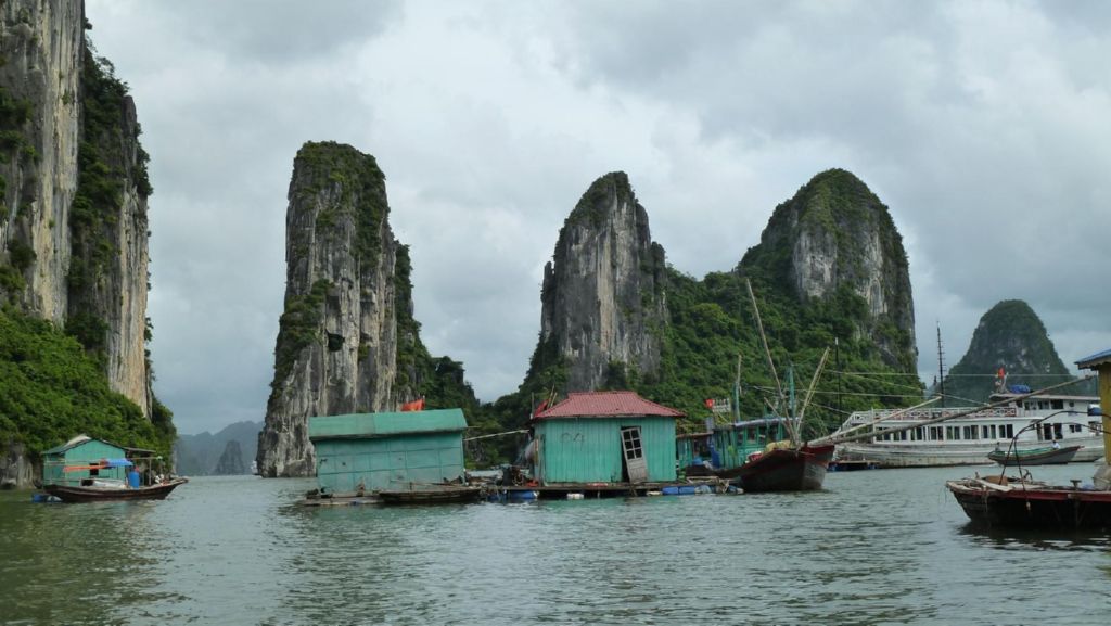 <i><b>Halong-16</b></i>