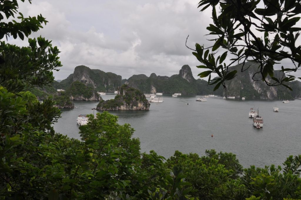 <i><b>Halong-20</b></i>