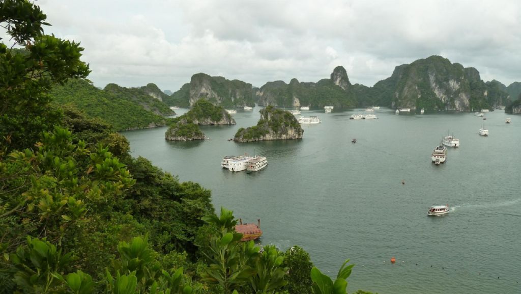 <i><b>Halong-21</b></i>