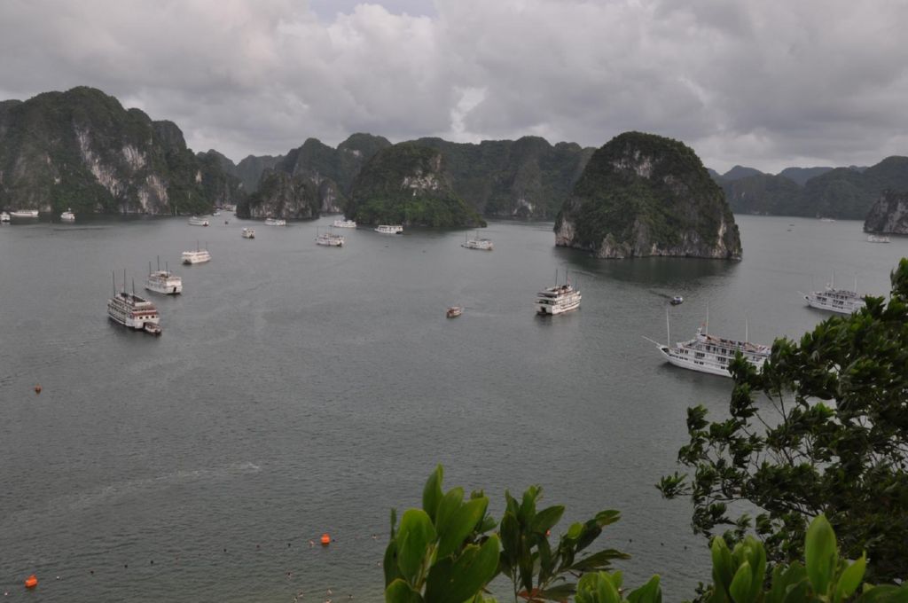 <i><b>Halong-22</b></i>