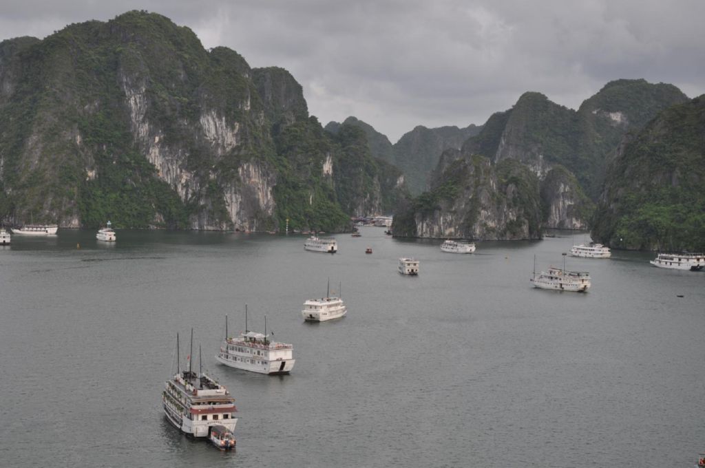 <i><b>Halong-23</b></i>