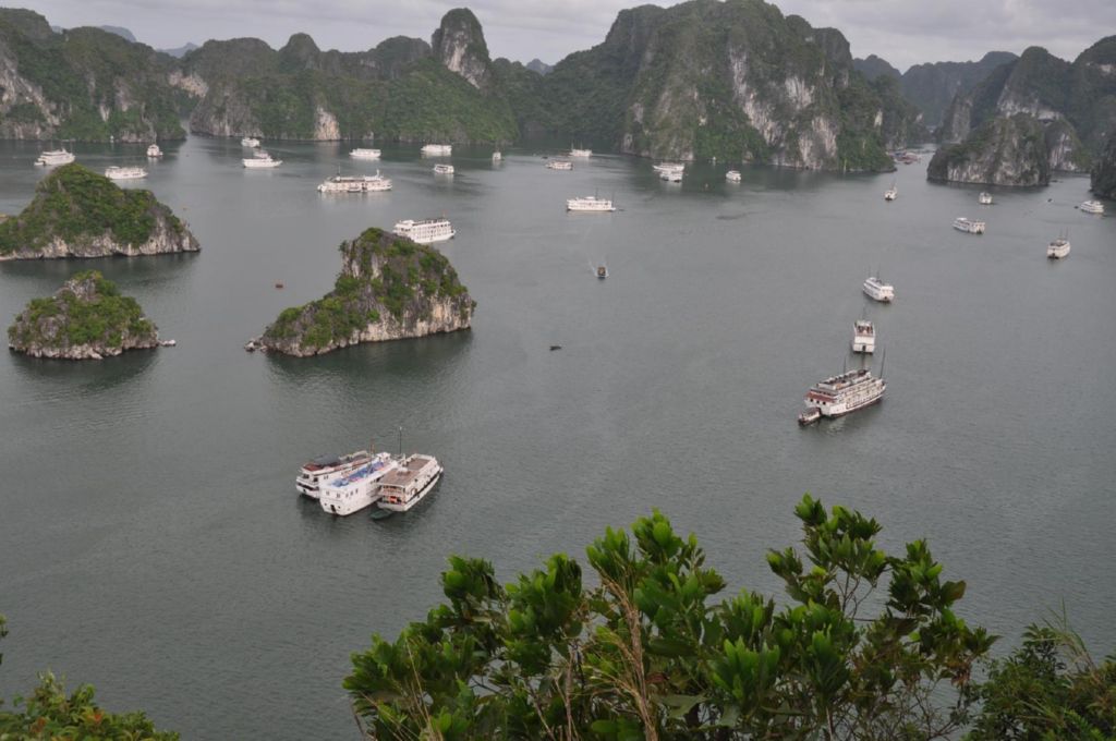 <i><b>Halong-25</b></i>