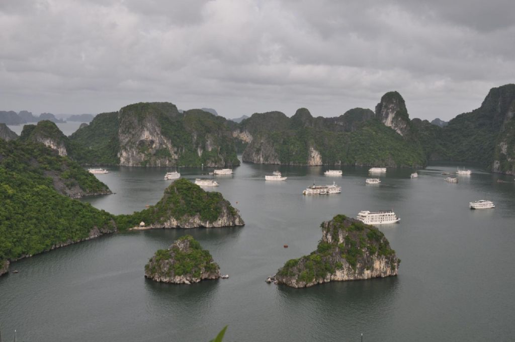 <i><b>Halong-31</b></i>