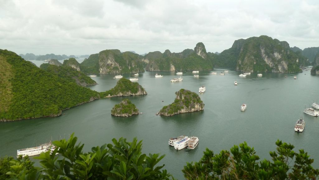 <i><b>Halong-32</b></i>