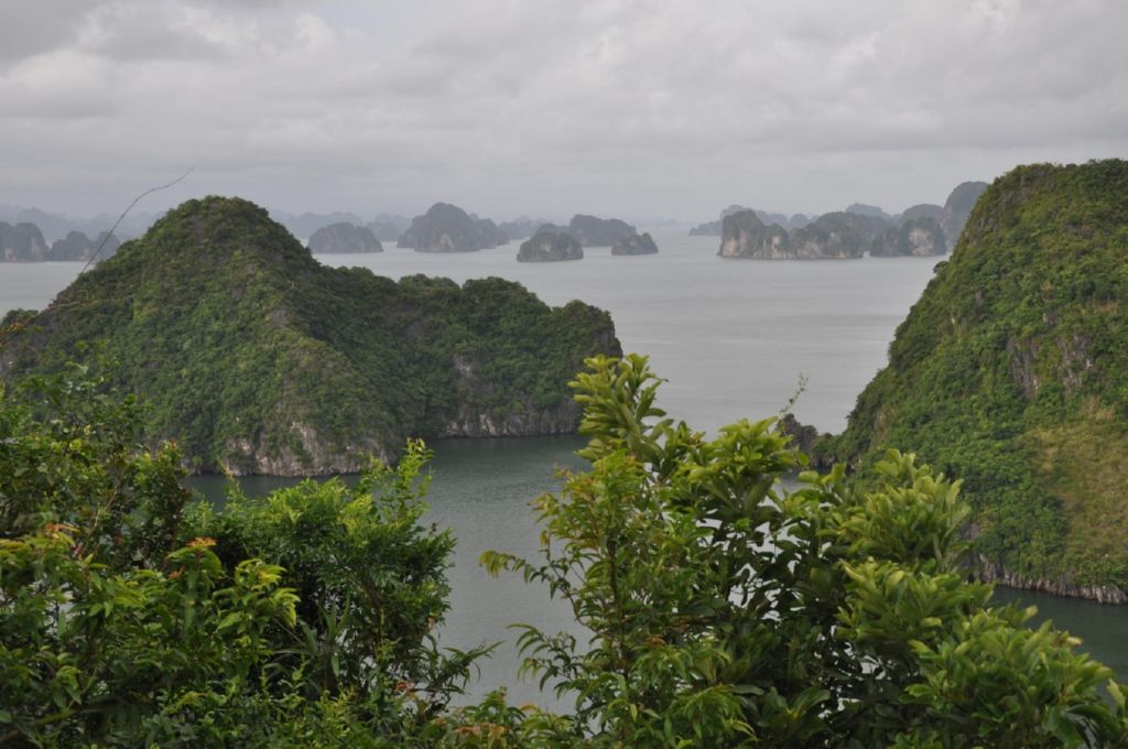 <i><b>Halong-33</b></i>