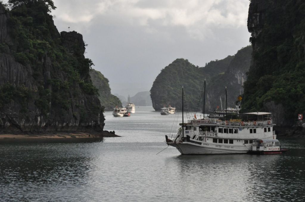 <i><b>Halong-40</b></i>