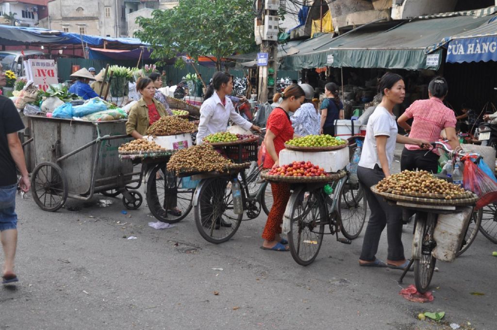 <i><b>Hanoi-018</b></i>