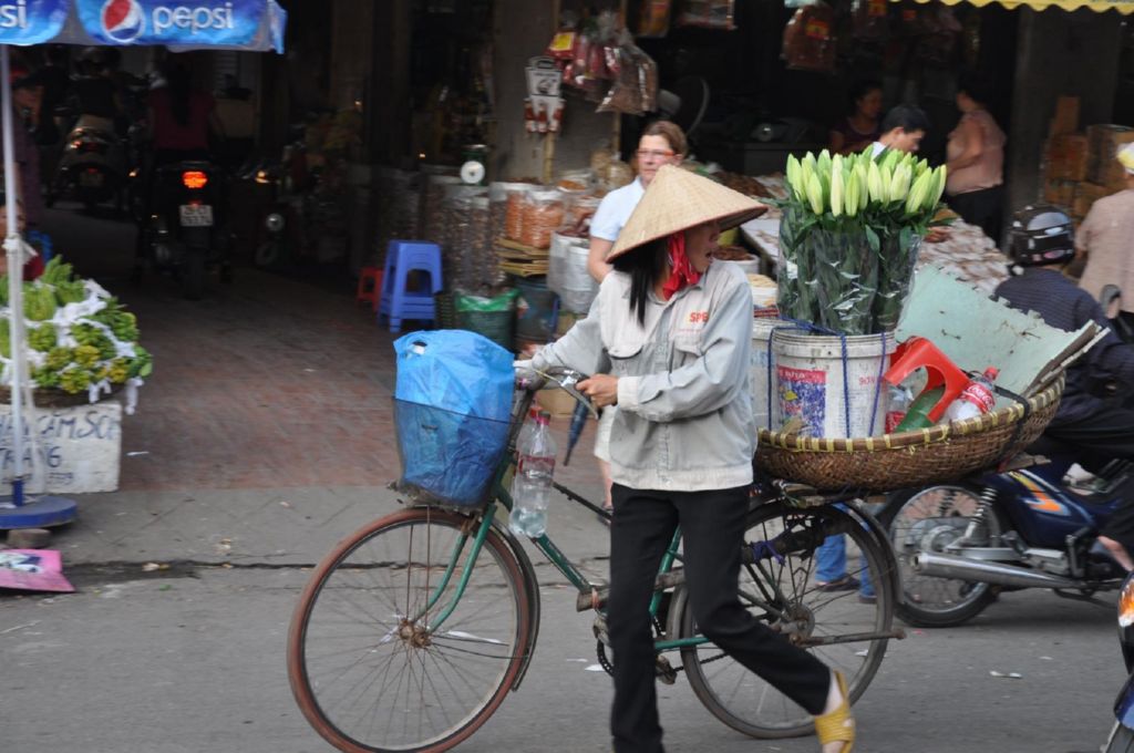 <i><b>Hanoi-019</b></i>