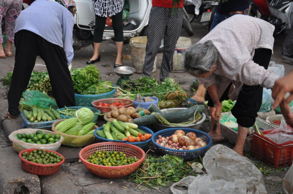 <i><b>Hanoi-023</b></i>