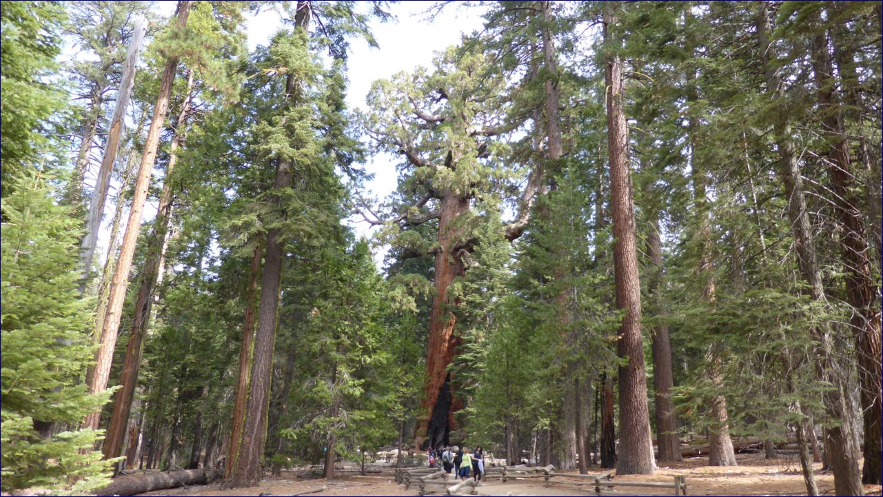 California-2014-497 - Yosemite National Park