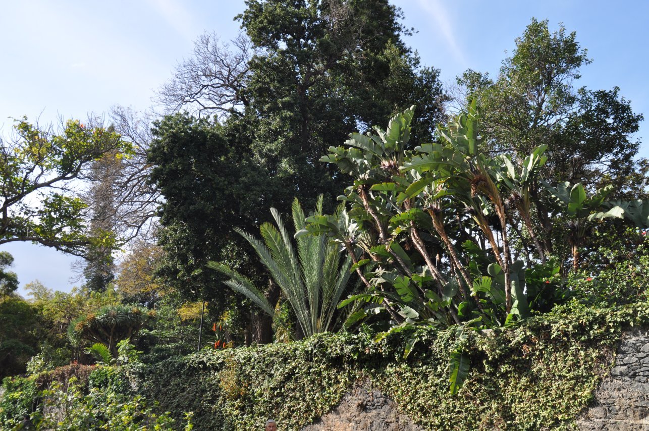 Funchal