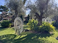 Mallorca-Spanien-Frankreich-25-0028