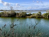 Mallorca-Spanien-Frankreich-25-0029