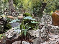 Mallorca-Spanien-Frankreich-25-0121