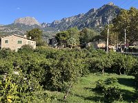 Mallorca-Spanien-Frankreich-25-0185