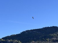 Mallorca-Spanien-Frankreich-25-0222